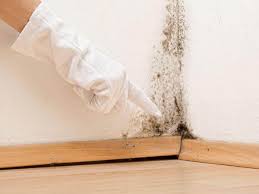 Best Commercial Mold Inspection  in Lorado Springs, CO